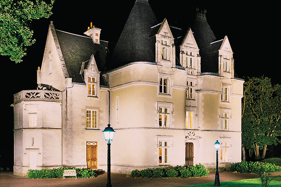 Château de Périgny - photo 7