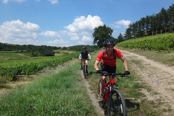 SENSATION VTT - photo 4