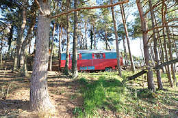 1001 Cornes