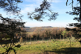 1001 Cornes