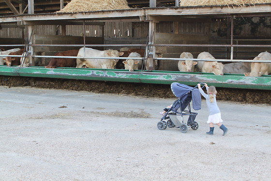 La Ferme des Pignons - photo 3