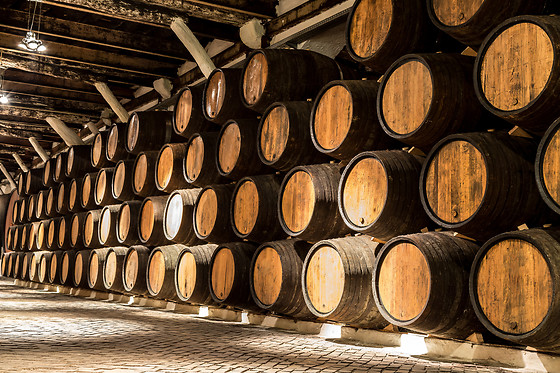 VINS GRAU - photo 0