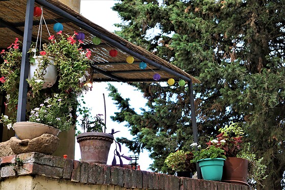 B&B Mediterrando - photo 5