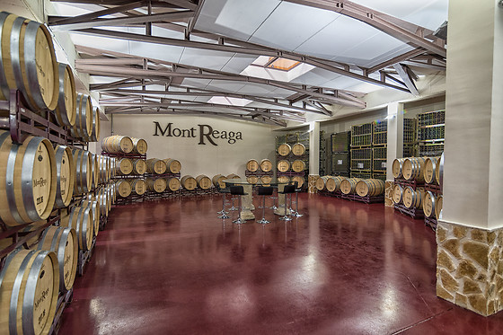 BODEGAS MONT REAGA - photo 2