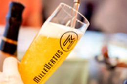 Brasserie Millevertus