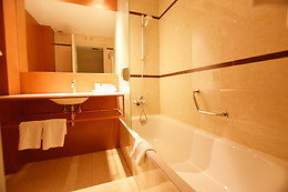 HOTEL LOS BRASEROS CENTRO