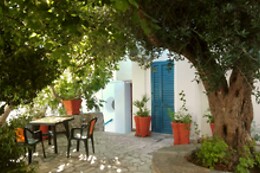 Hotel degli Ulivi***
