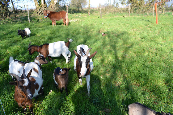 Domaine des Vaulx - photo 25