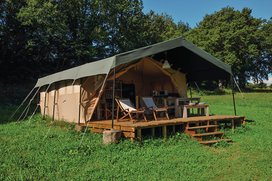 Les Anes de Forcalquier - photo 4