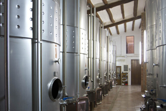 CELLER JOSEP FORASTER - photo 6