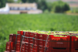 HOTEL ALFAGEME